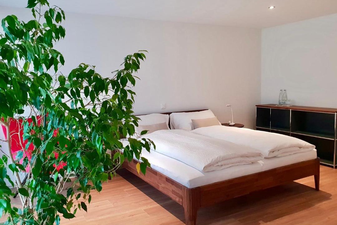 Murten Hotel | Ringmauer