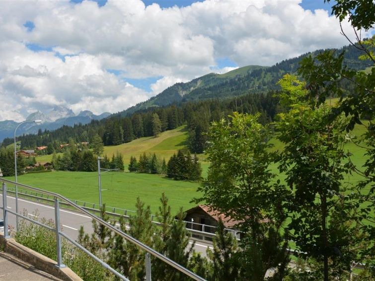 Photo of Outdoor in Saanenmoeser