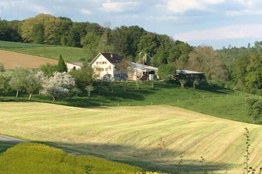 Photo of Others in Schneisingen