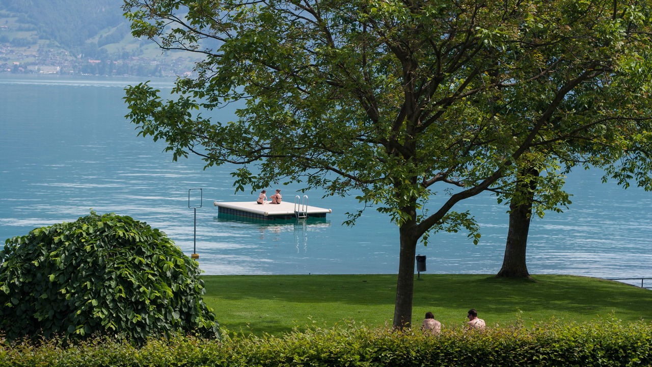 Photo of Others in Faulensee