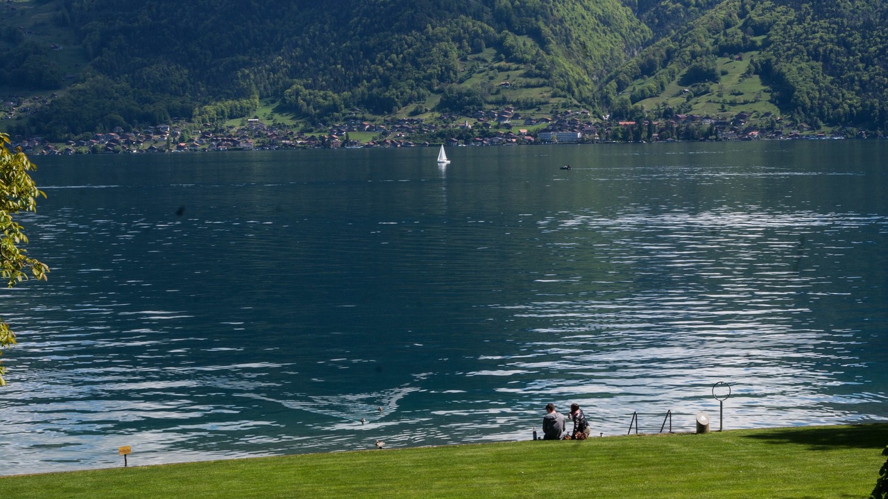 Photo of Others in Faulensee