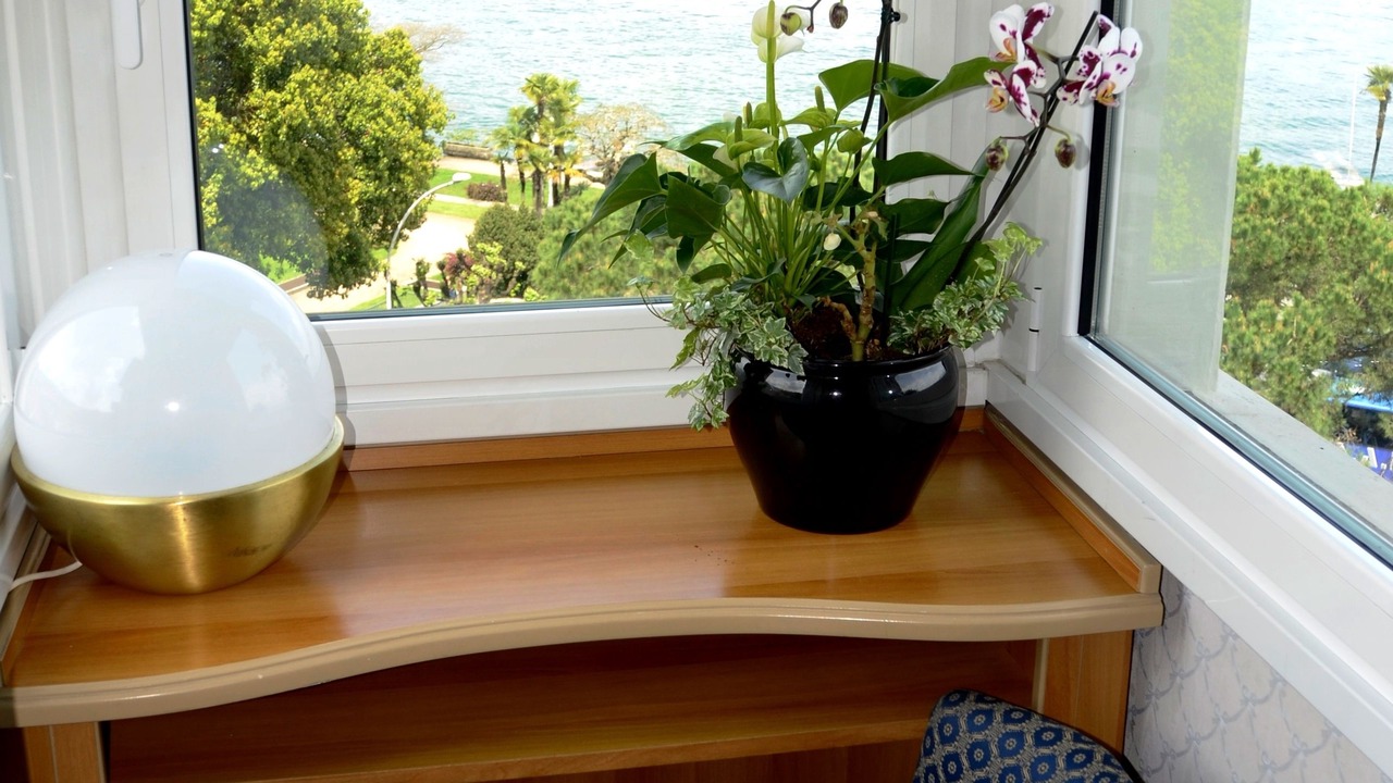 Photo of Outdoor in Stresa