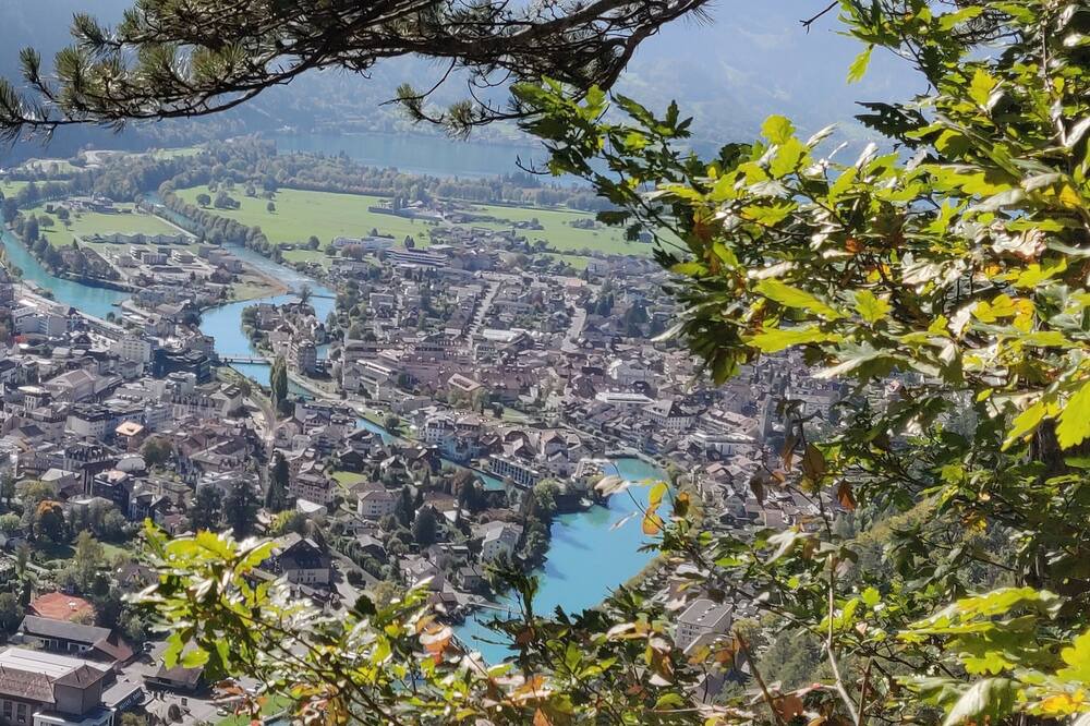 Photo of Others in Central Interlaken