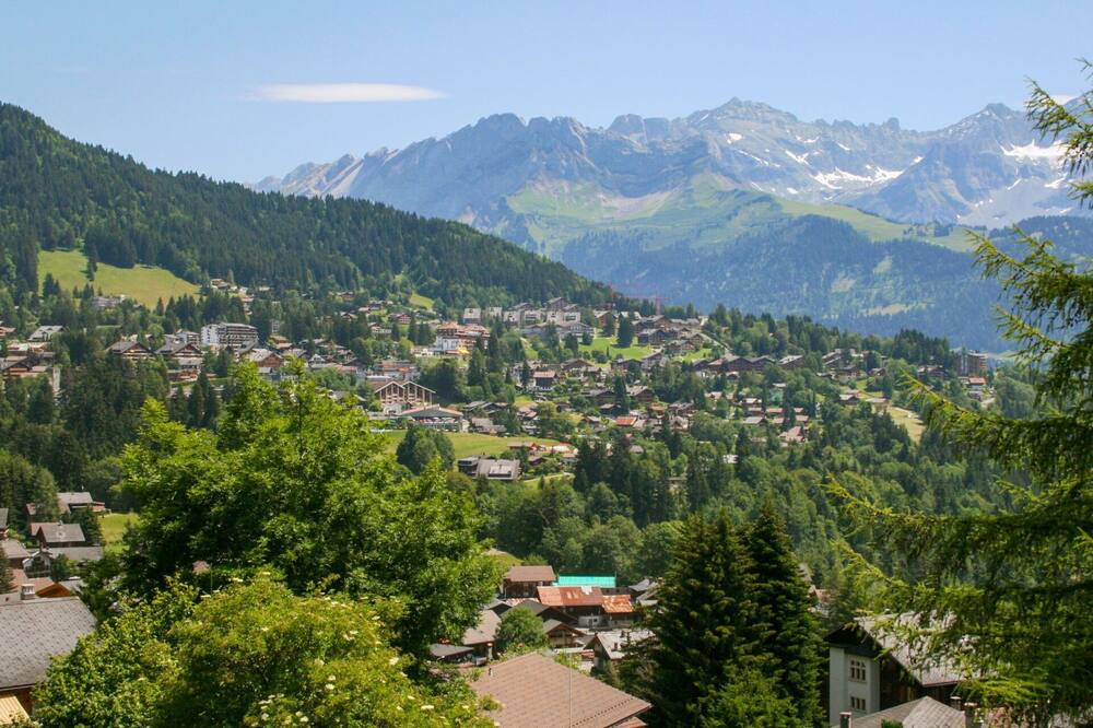 Photo of Others in Villars-sur-Ollon