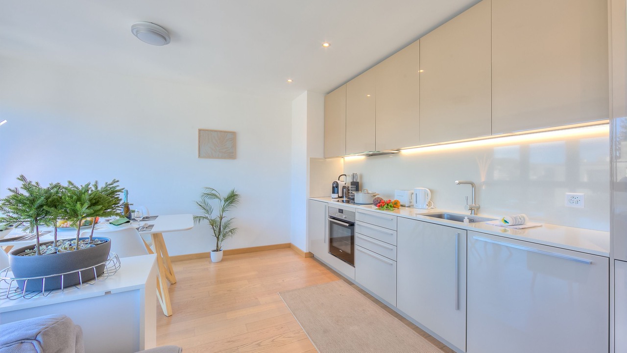 Photo of Kitchen in Massagno