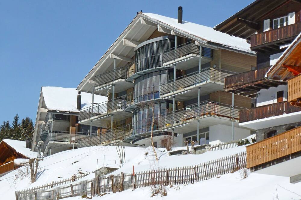 Photo of Others in Wengen