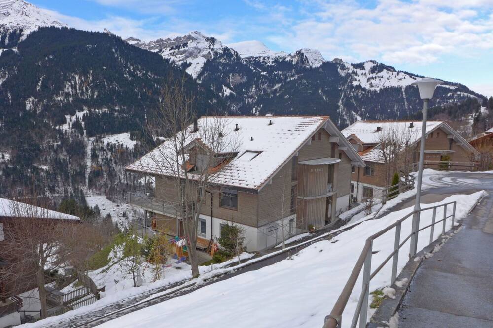 Photo of Others in Wengen