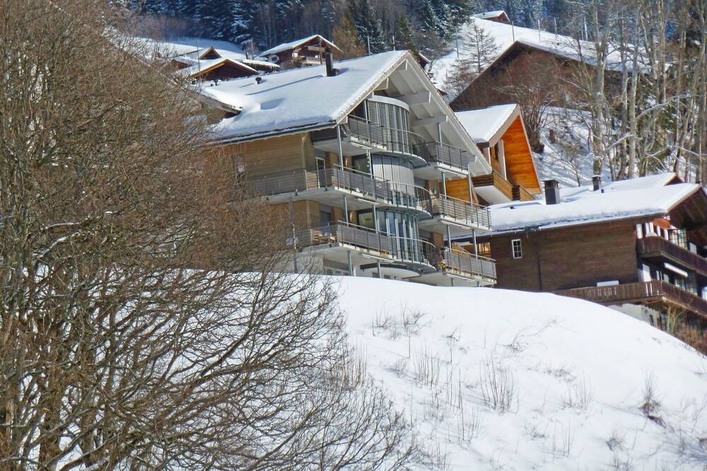 Photo of Others in Wengen
