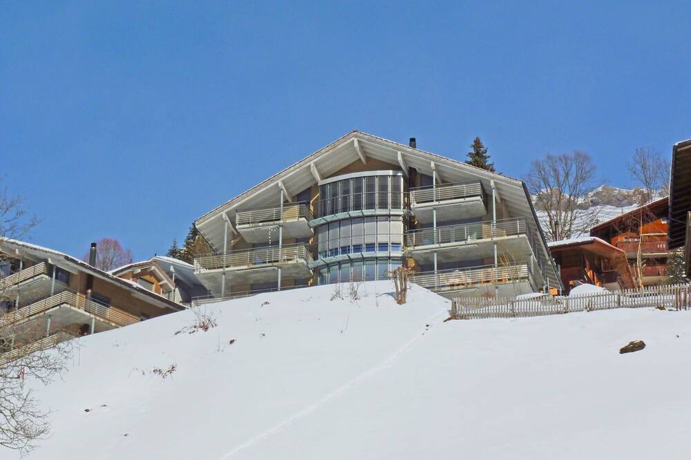 Photo of Others in Wengen