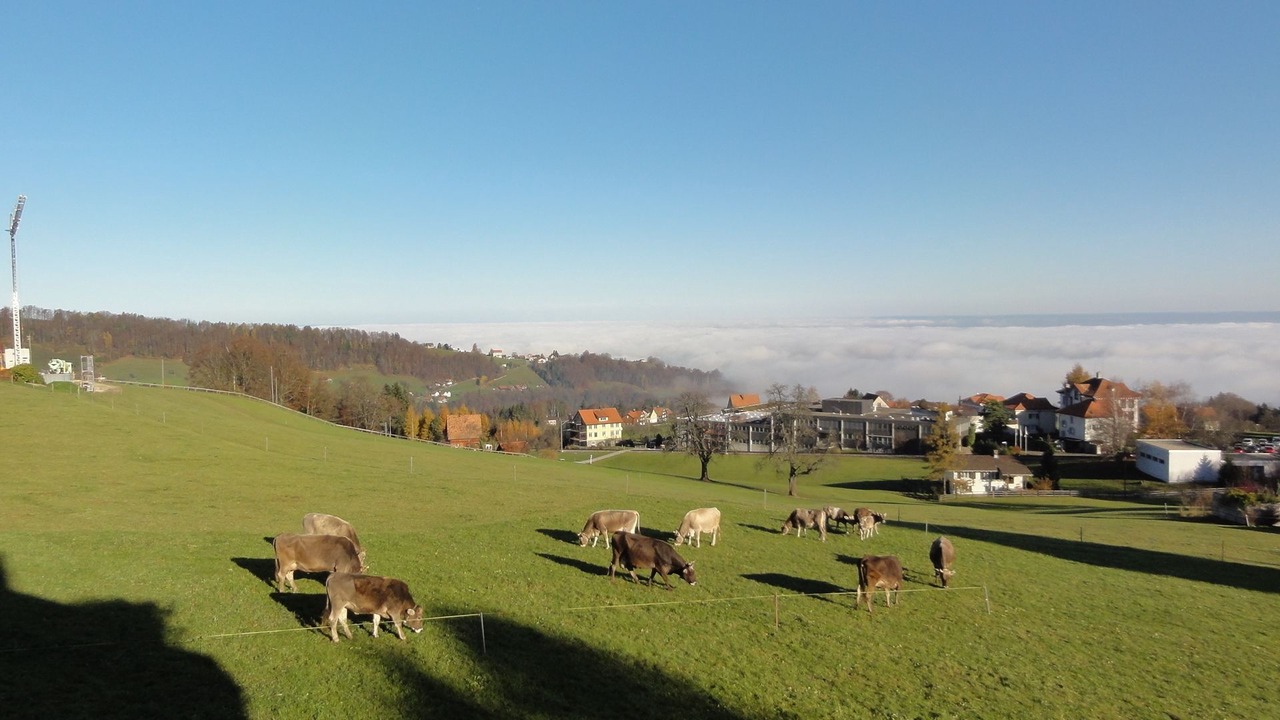 Photo of Outdoor in Heiden
