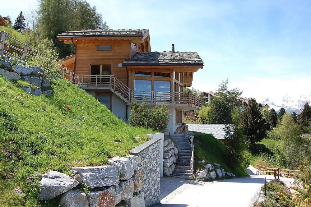 Photo of Others in Nendaz