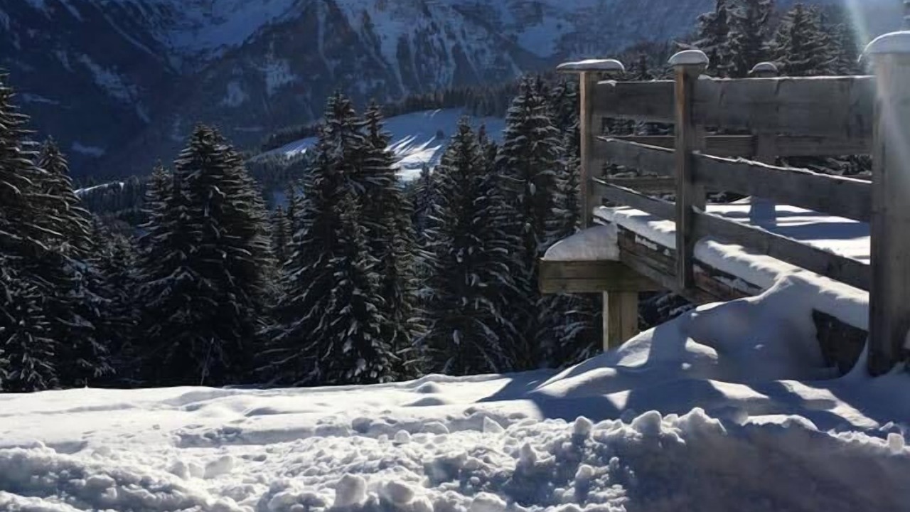 Photo of Others in Morgins