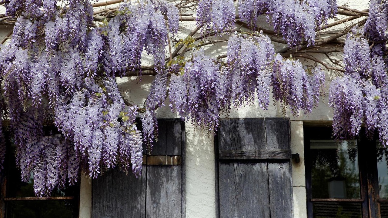 Photo of Outdoor in Montezillon