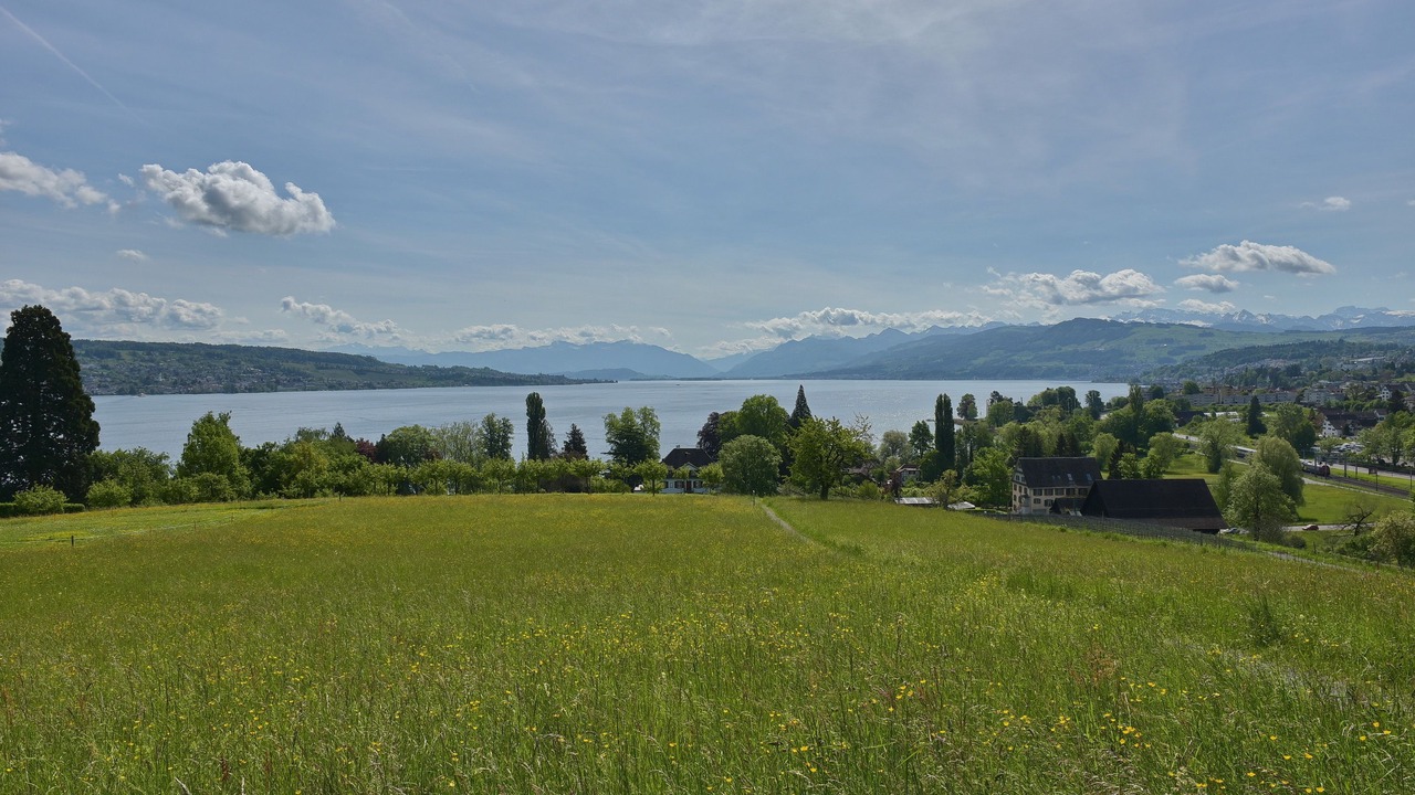 Photo of Others in Horgen District