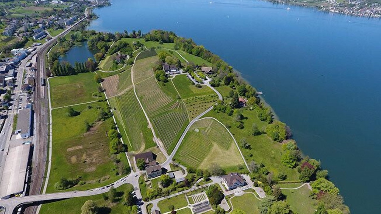 Photo of Outdoor in Horgen District