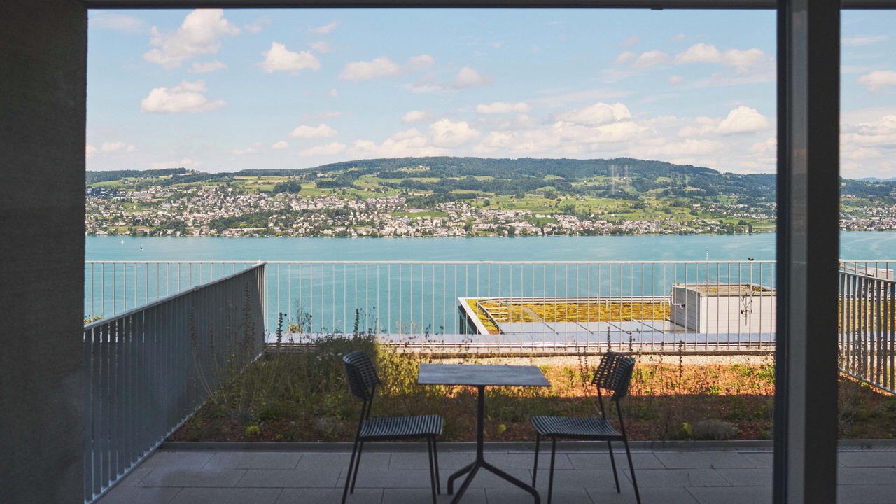 Photo of Patio Balcony in Horgen District