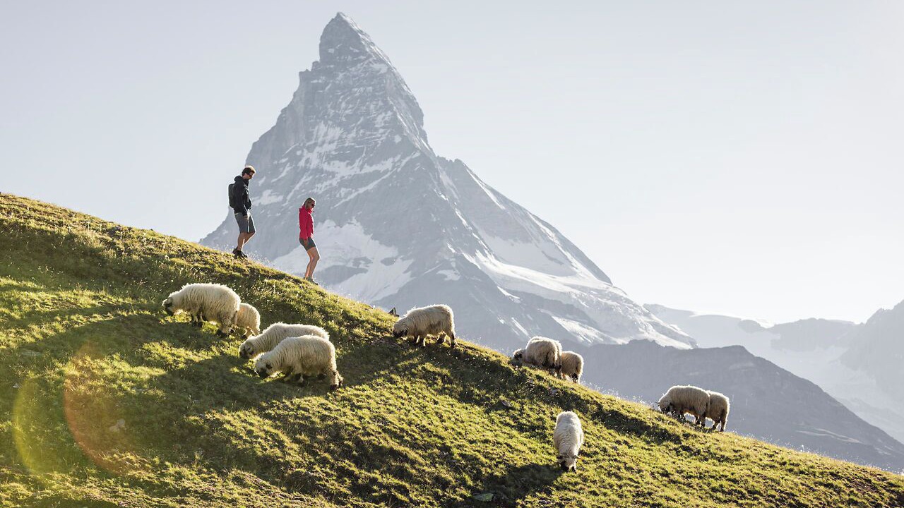 Photo of Outdoor in Zermatt