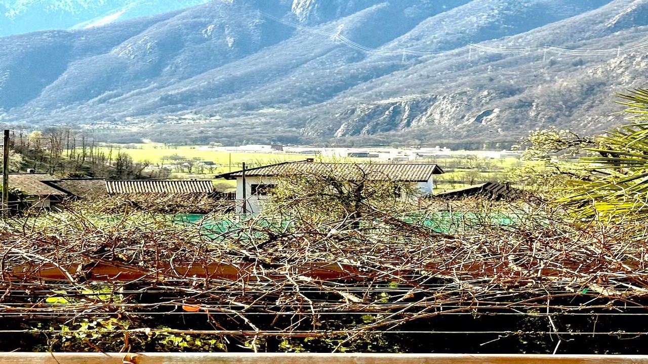 Photo of Outdoor in Roveredo