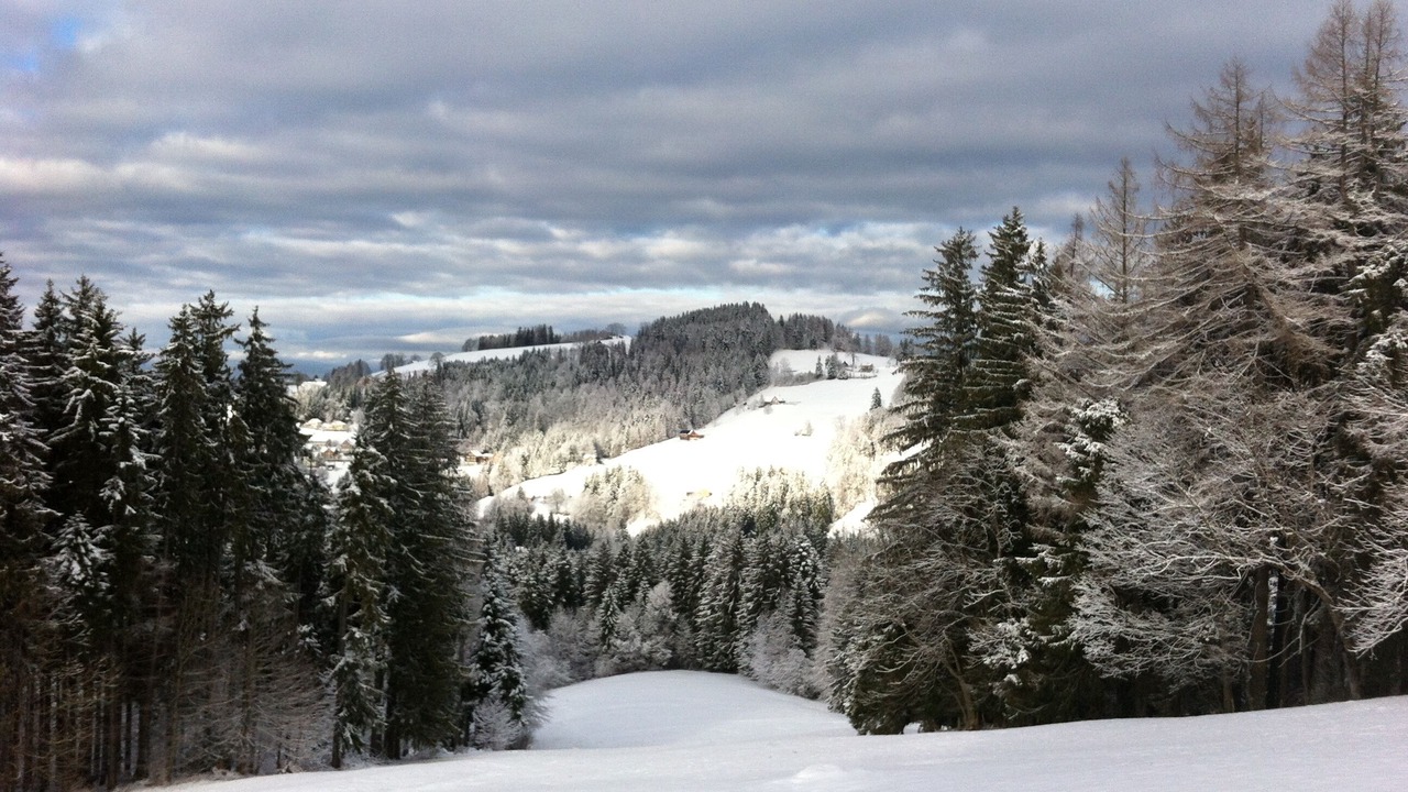 Photo of Outdoor in Wald