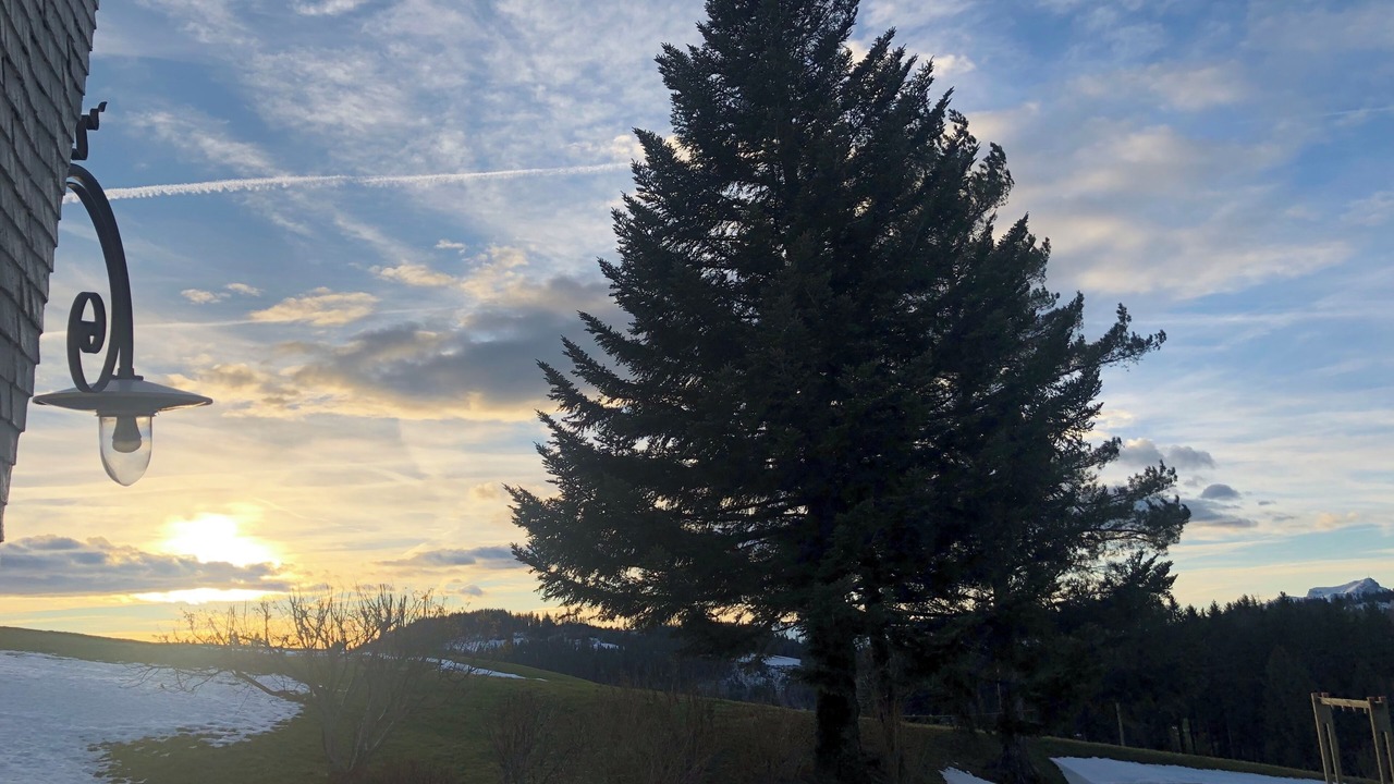 Photo of Outdoor in Wald