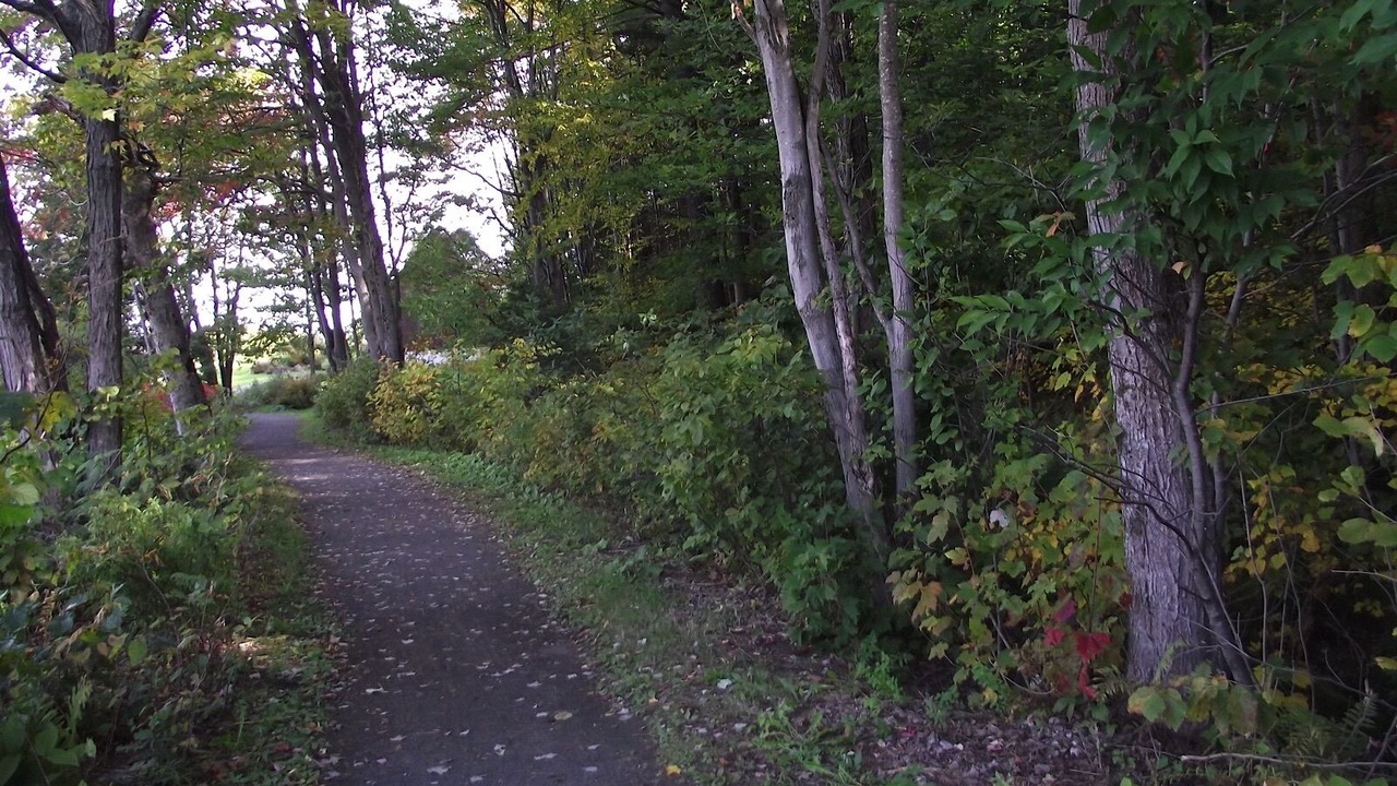Photo of Outdoor in Crebbio