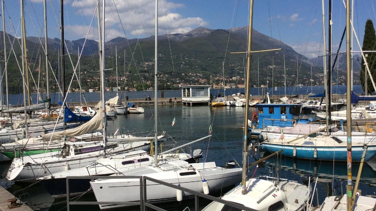 Photo of Others in Portese