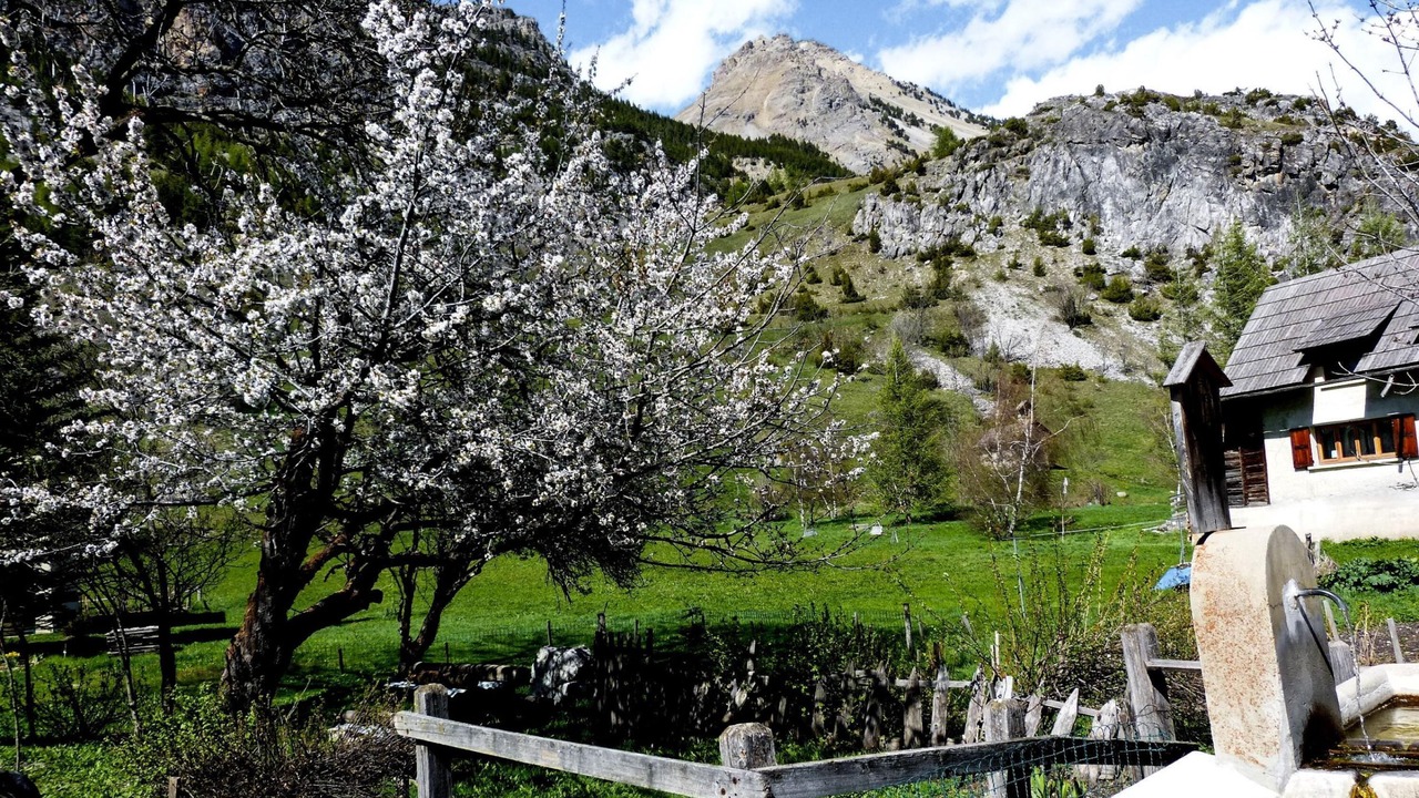 Photo of Others in Bardonecchia