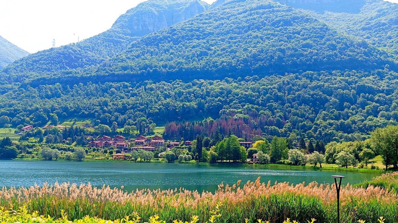 Photo of Others in Spinone Al Lago