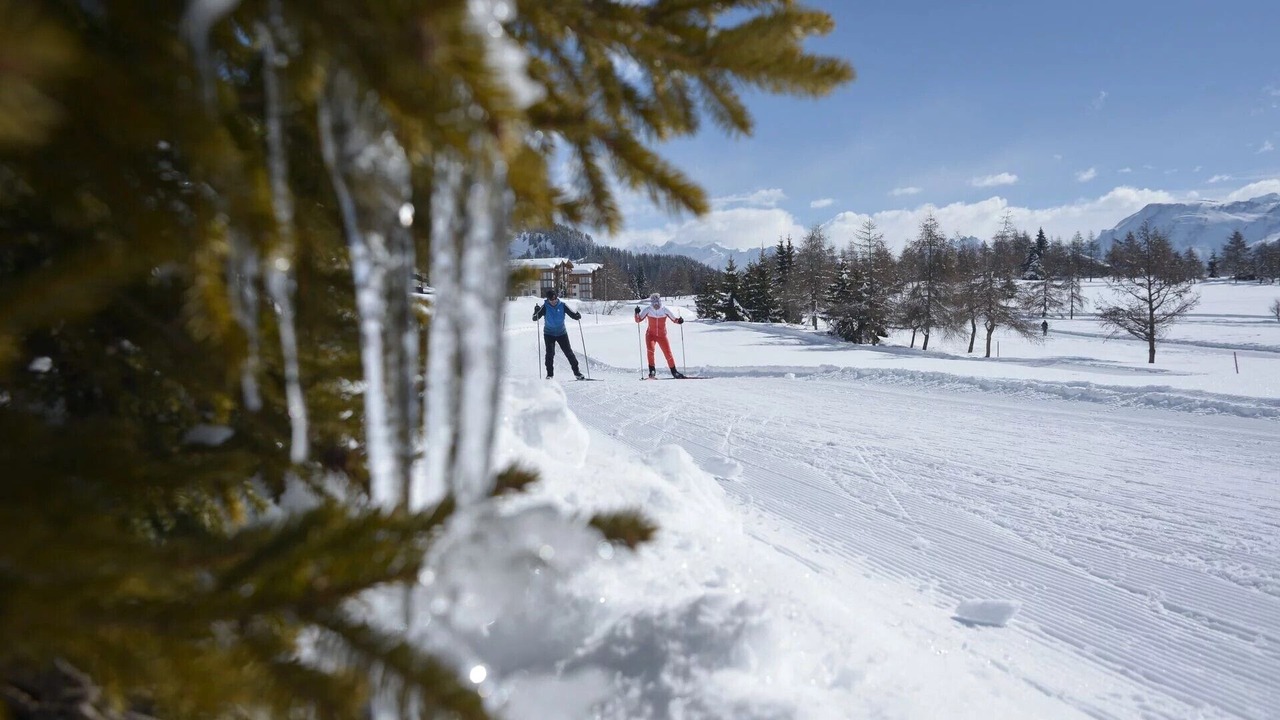 Photo of Others in Fiesch