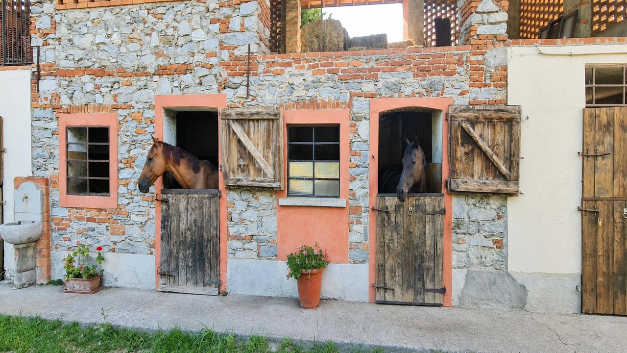 Photo of Outdoor in Brebbia