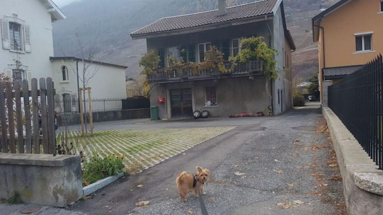 Photo of Outdoor in Martigny