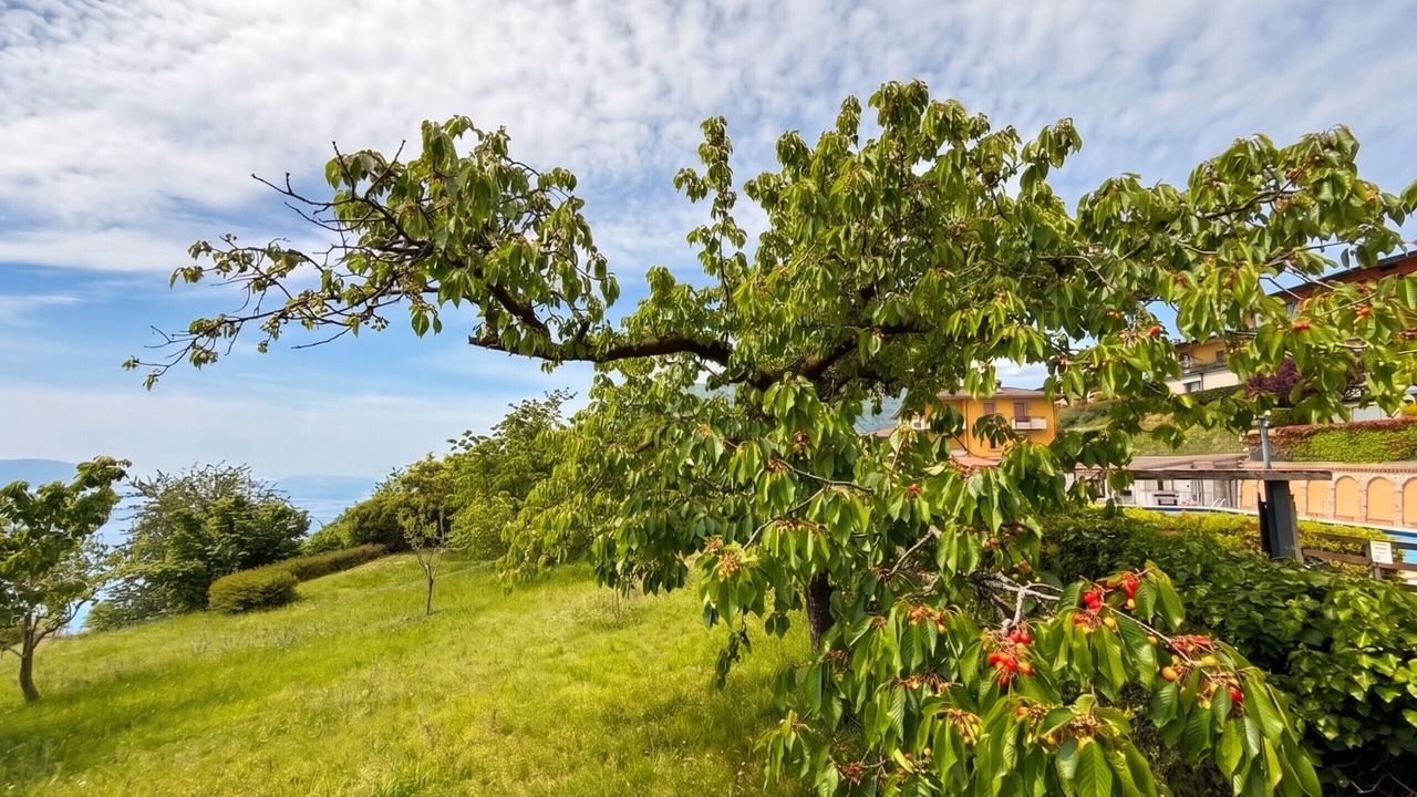 Photo of Outdoor in Gardola