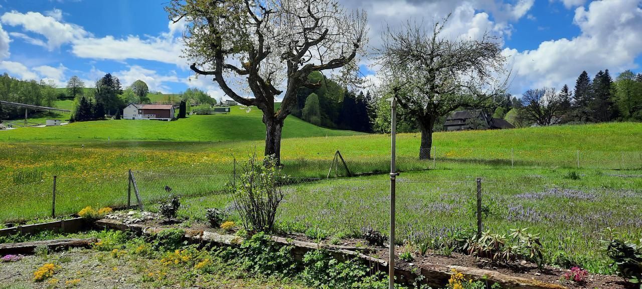 Photo of Others in Degersheim