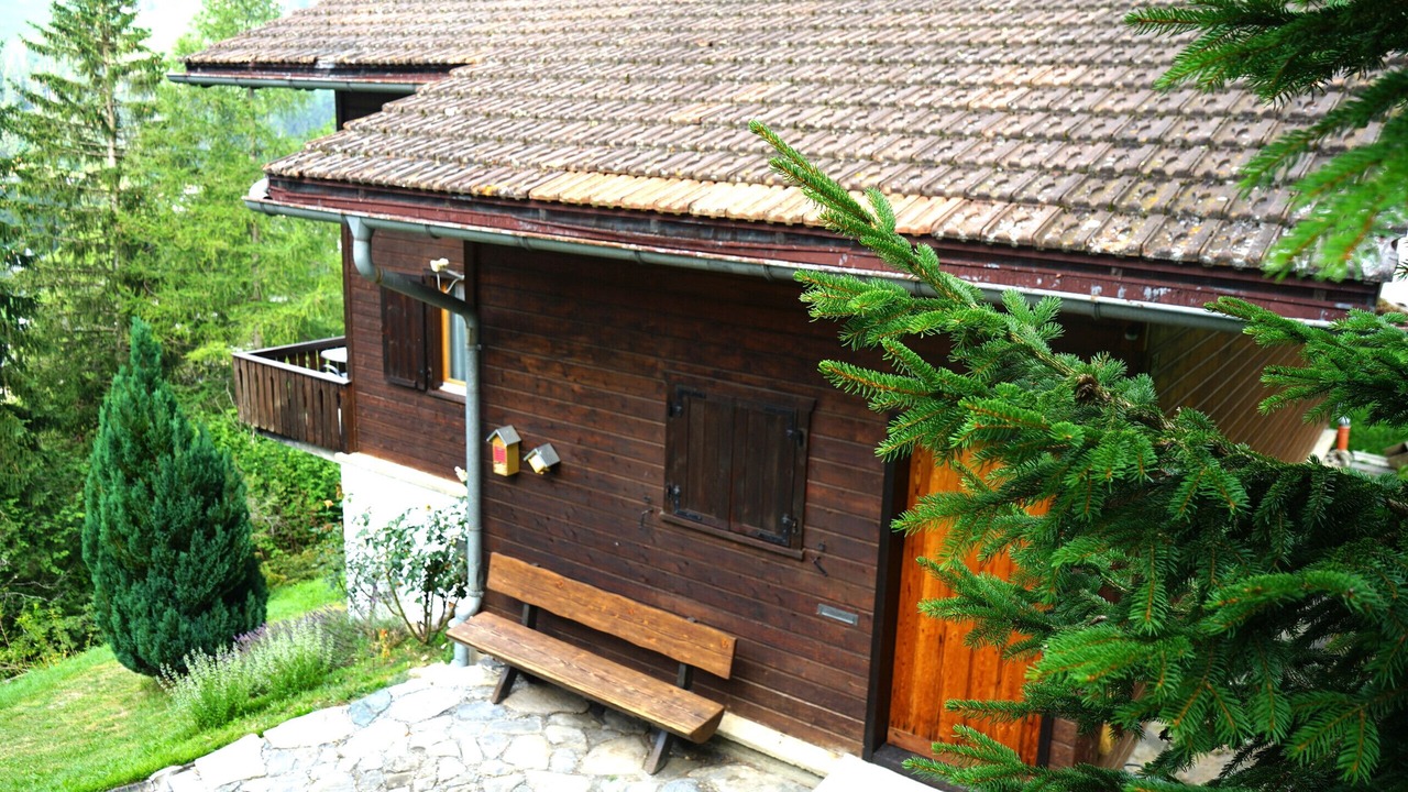 Photo of Outdoor in Parpan