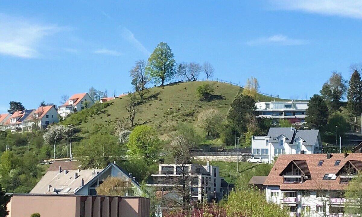 Photo of Others in Dietikon District