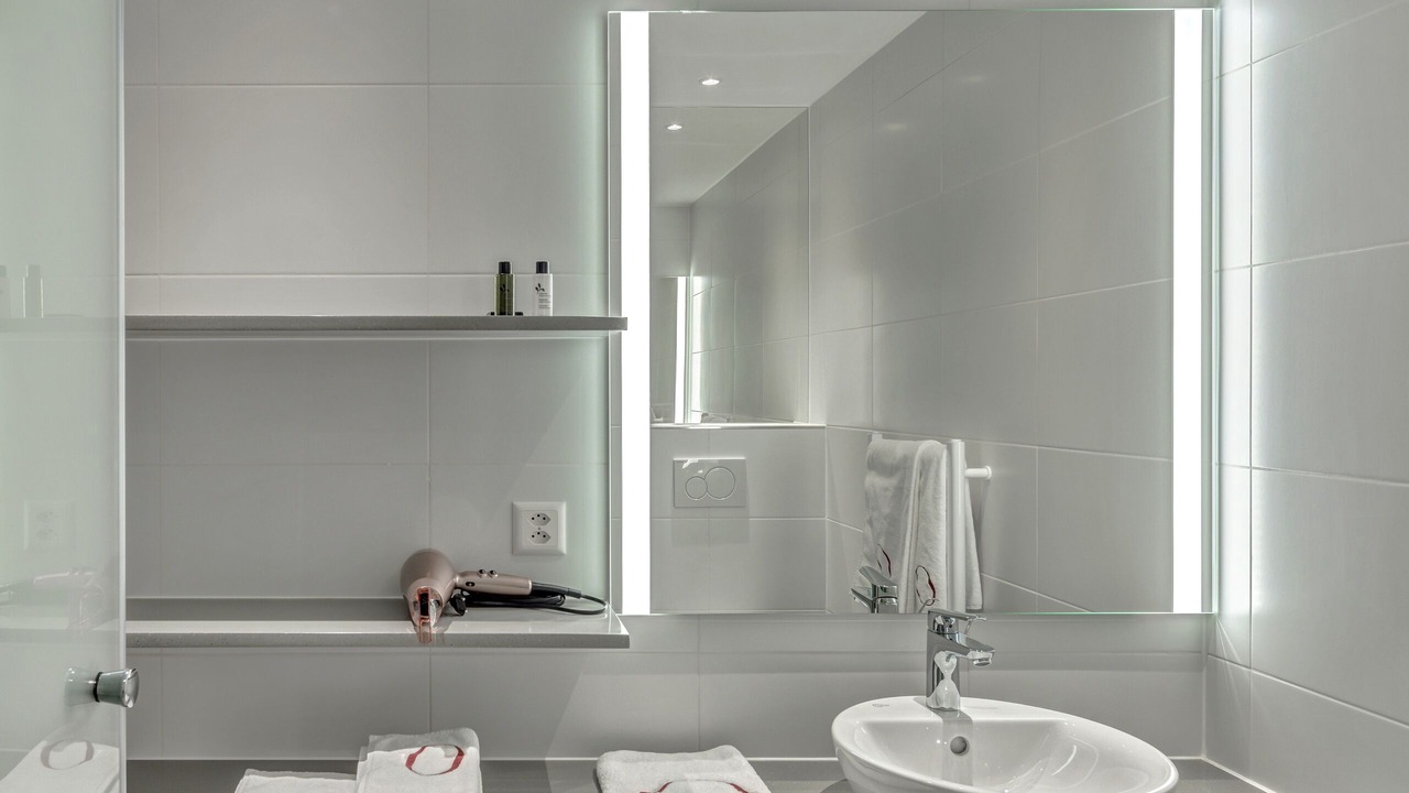 Photo of Bathroom in Dietikon District