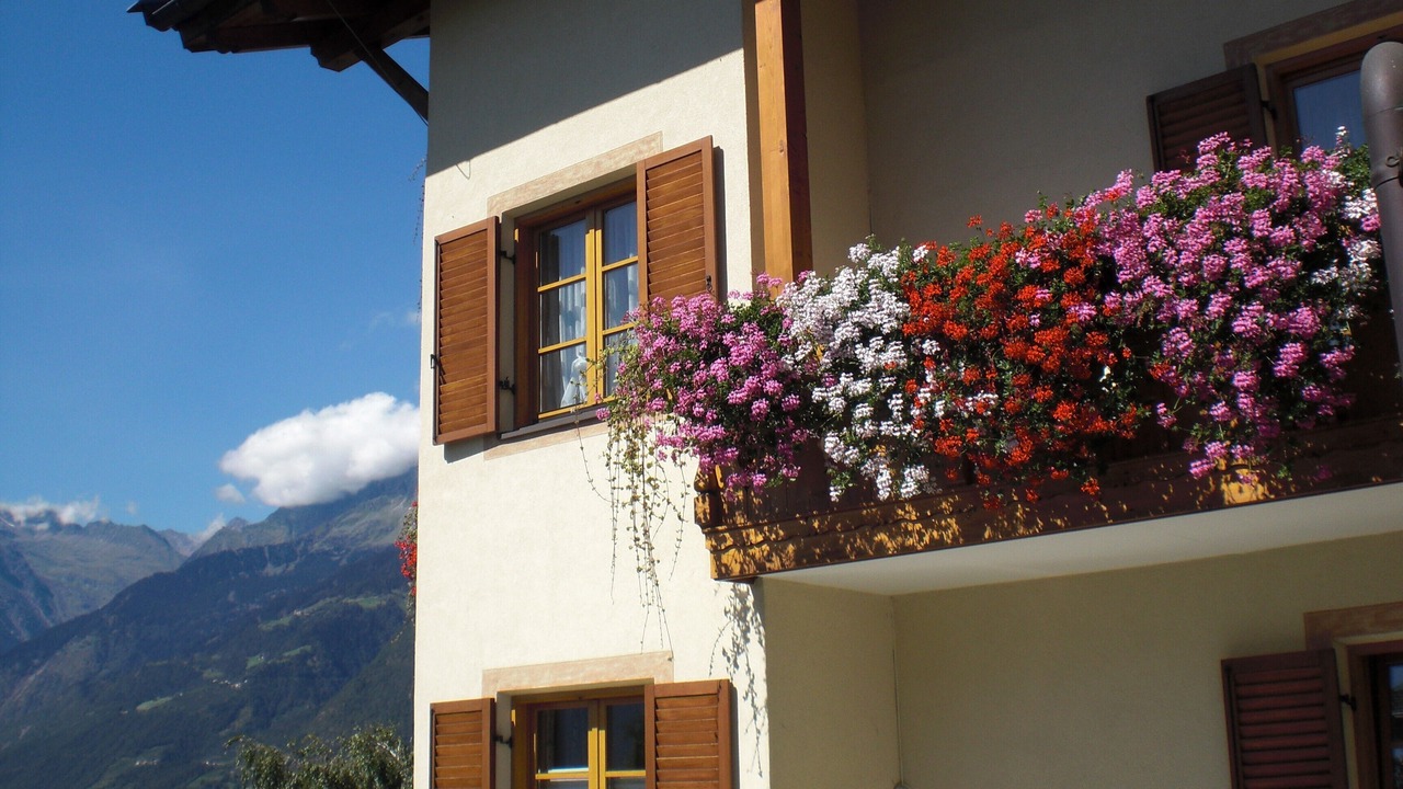 Photo of Outdoor in Schenna