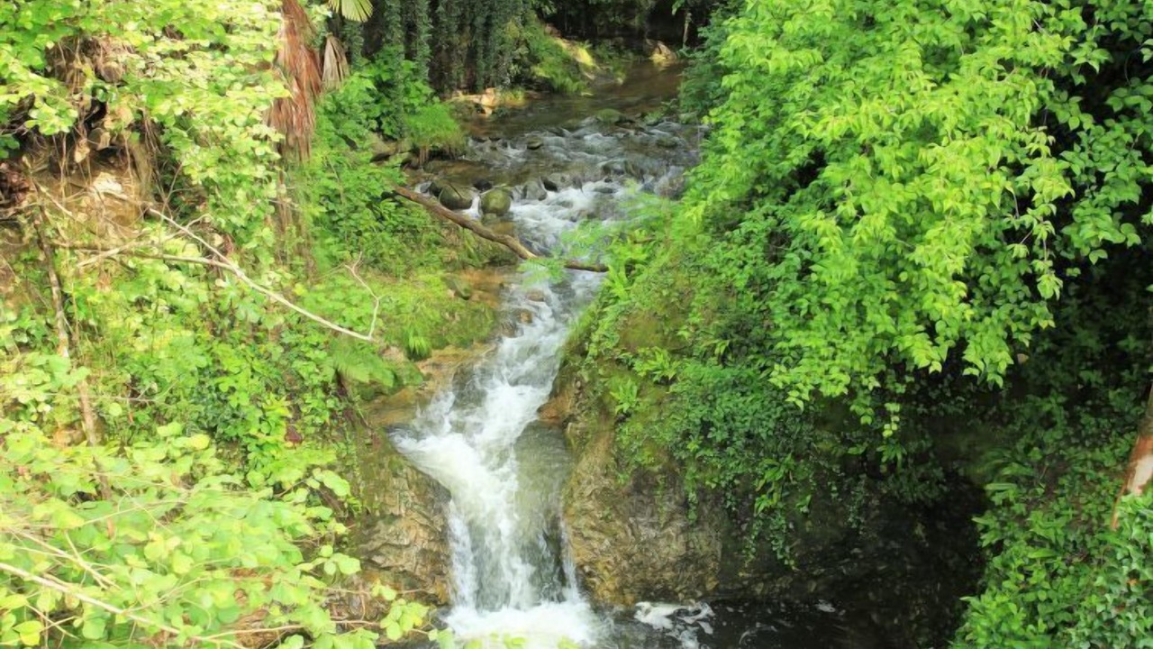 Photo of Outdoor in Arona
