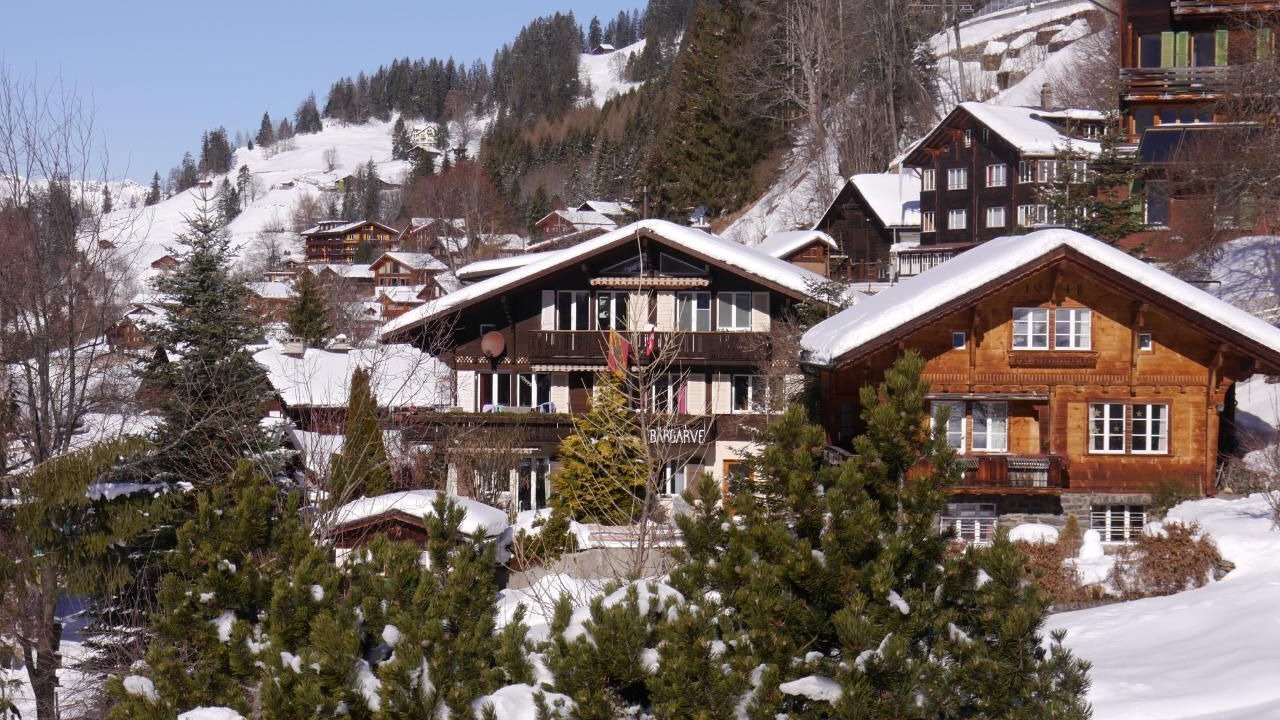 Photo of Others in Wengen