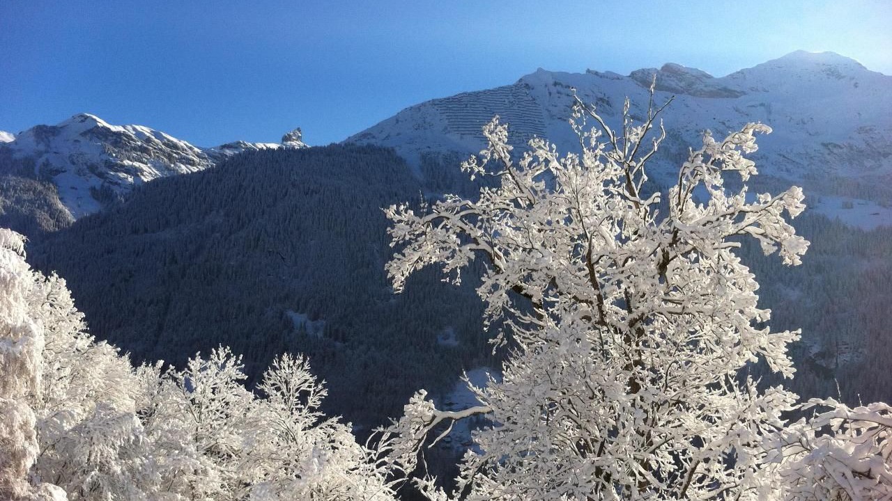 Photo of Others in Wengen