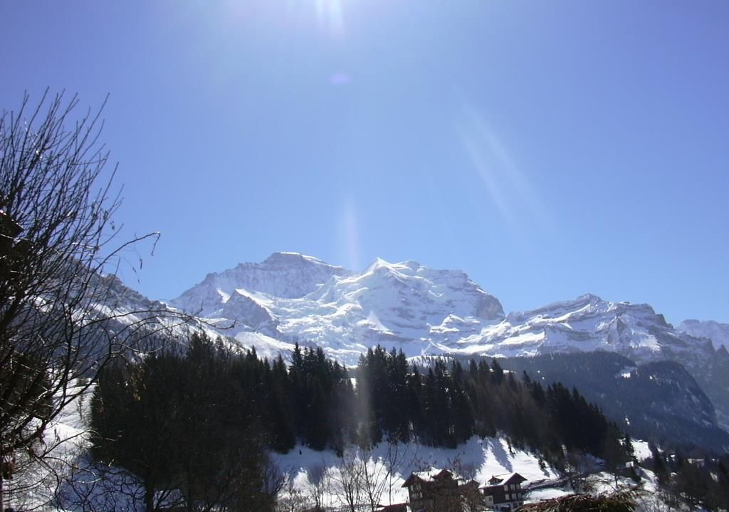 Photo of Others in Wengen