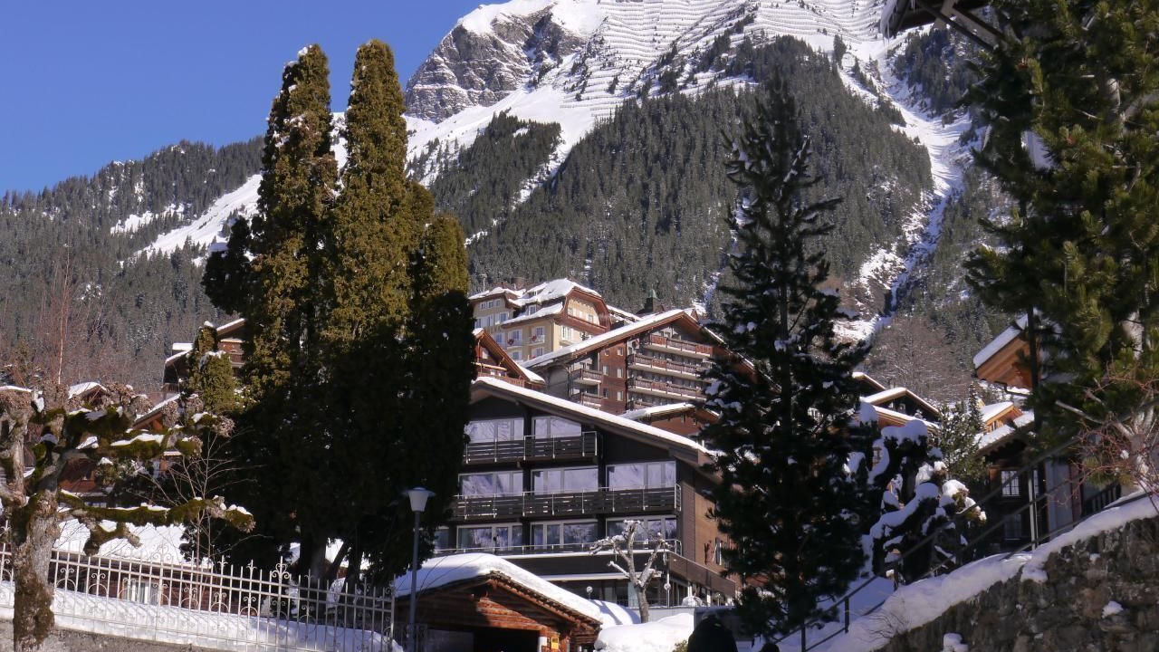Photo of Others in Wengen