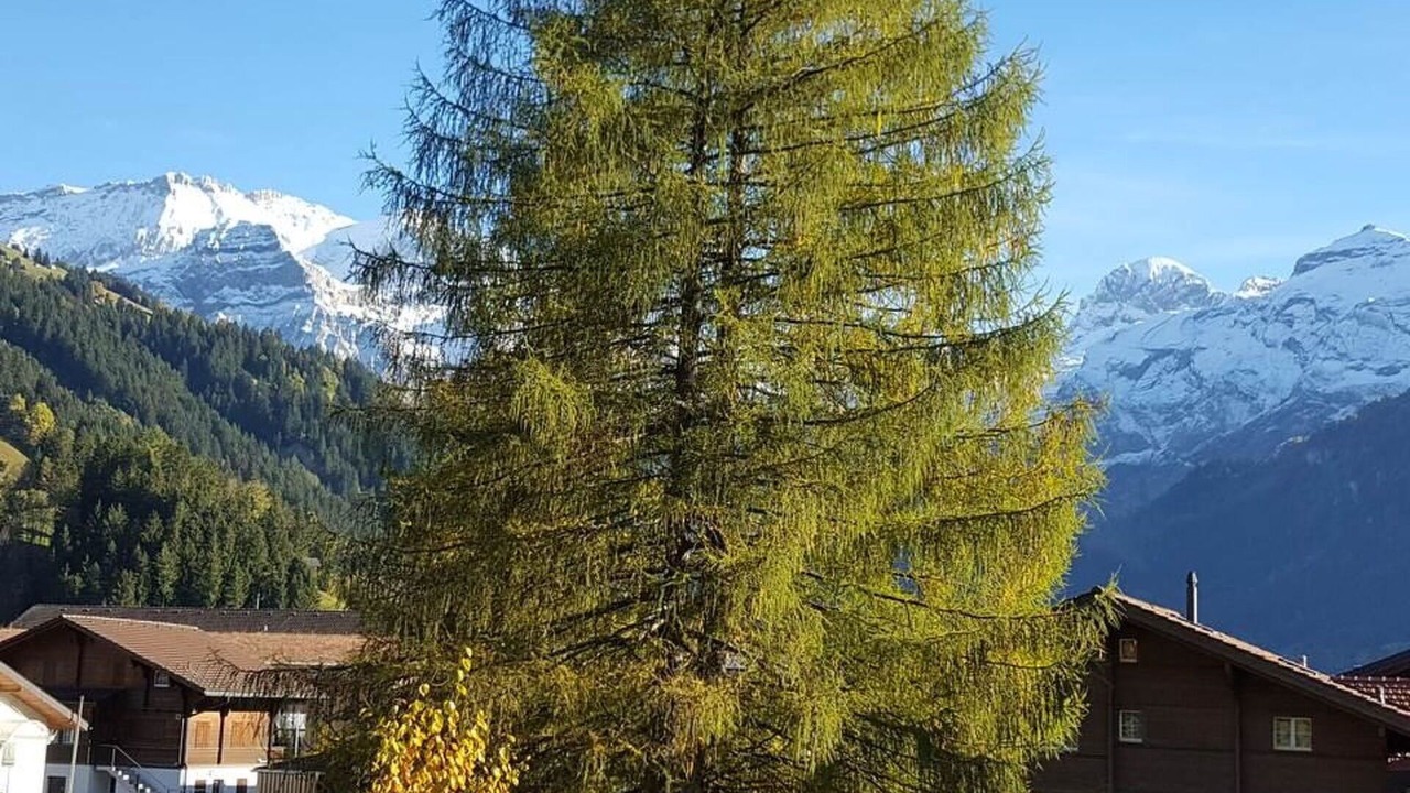 Photo of Others in Lenk