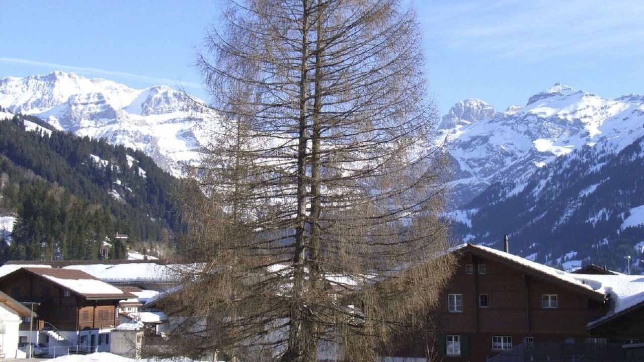 Photo of Others in Lenk
