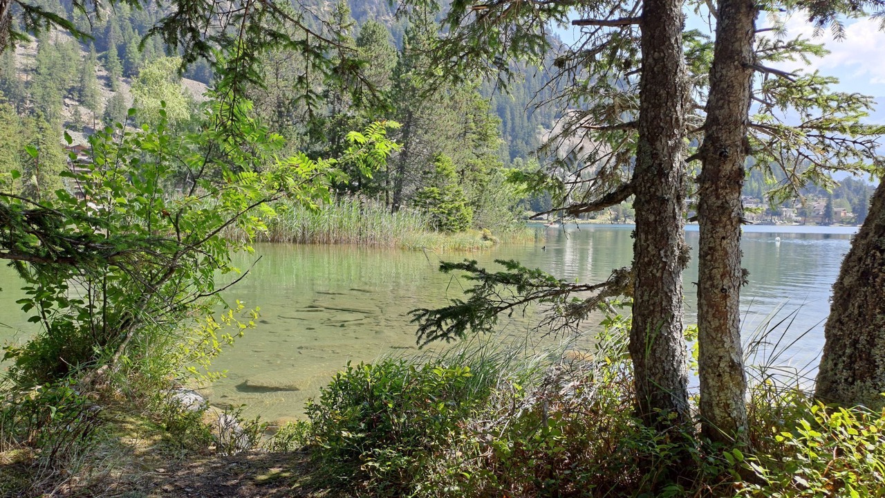 Photo of Others in Champex-Lac