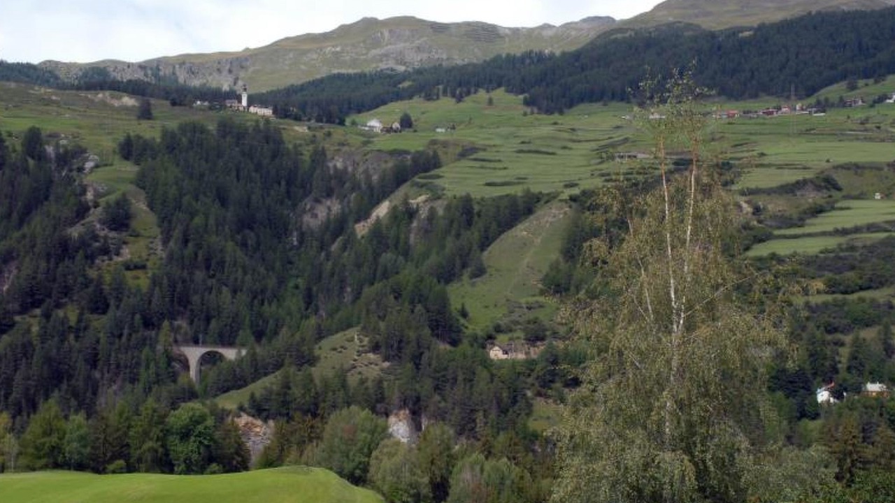 Photo of Others in Engadin Scoul