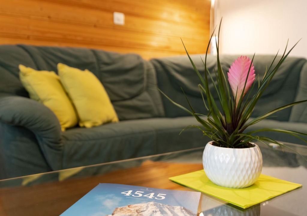 Photo of Livingroom in Saas Grund