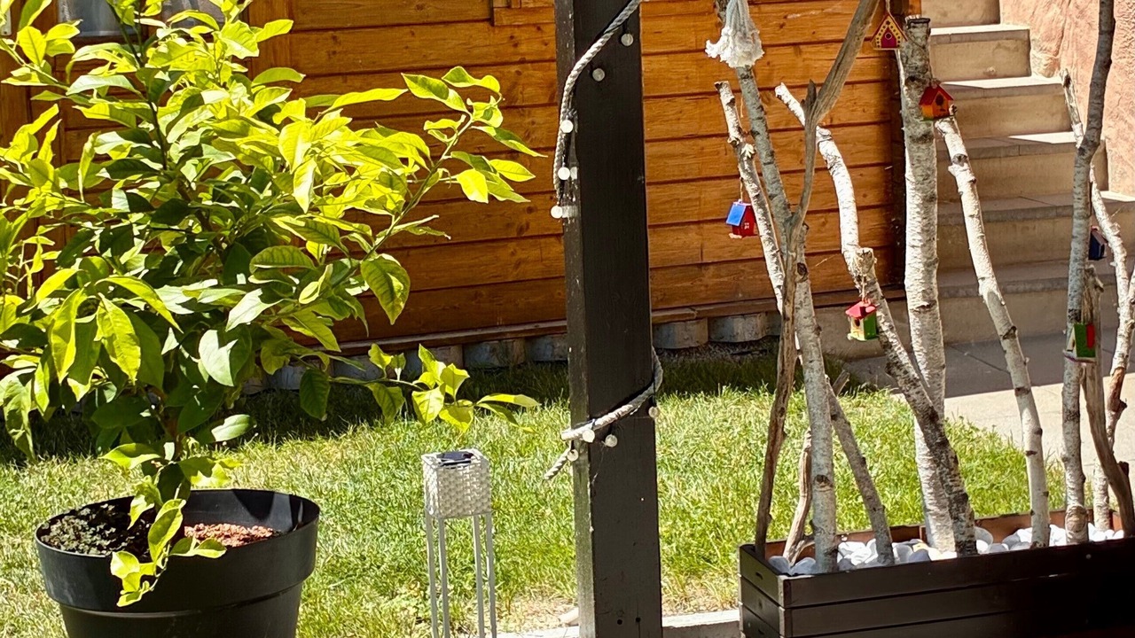 Photo of Outdoor in Gaienhofen