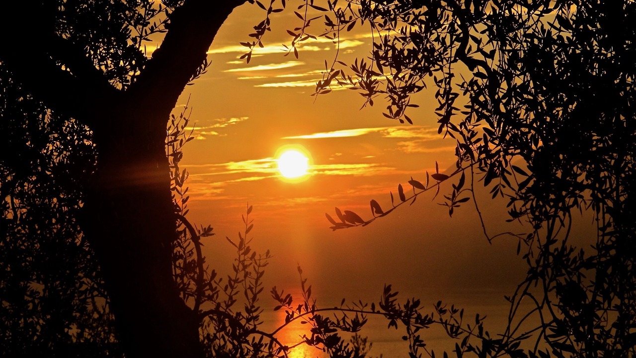 Photo of Outdoor in Malcesine