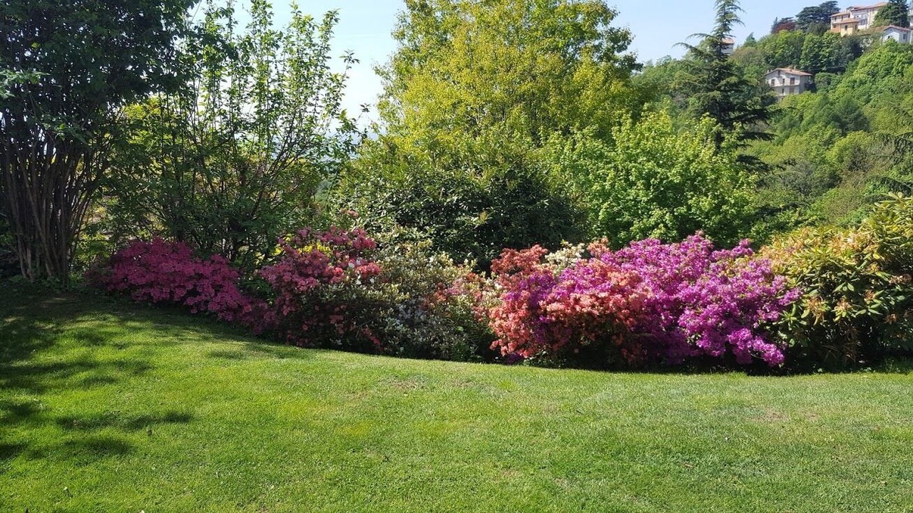 Photo of Outdoor in Brunate